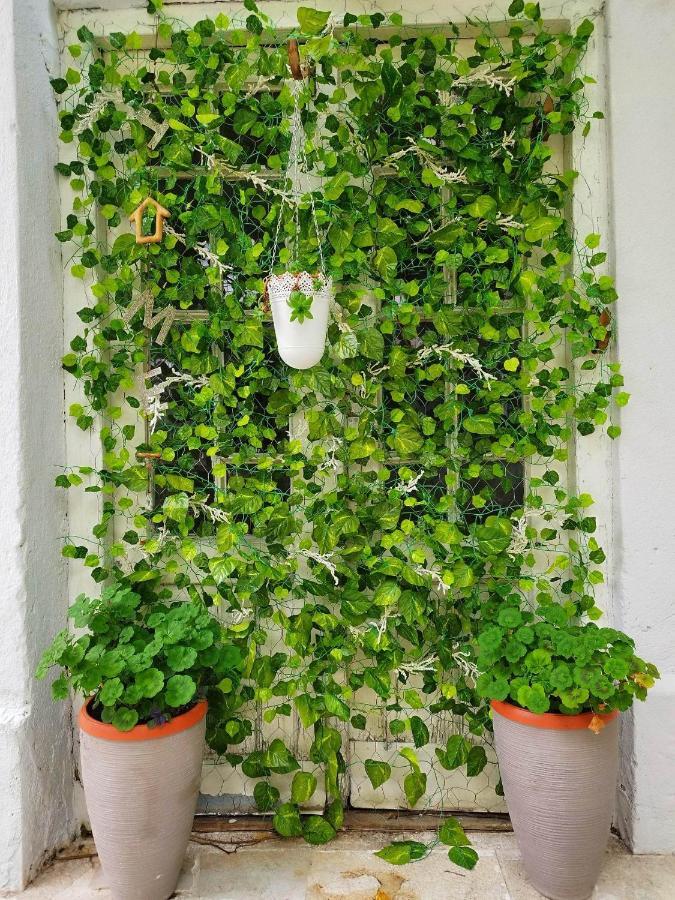 Apartment With Garden Hanja Mostar Ngoại thất bức ảnh