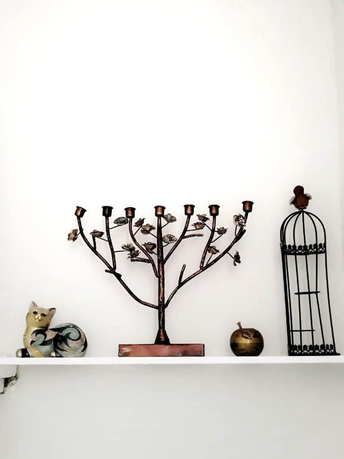 Apartment With Garden Hanja Mostar Ngoại thất bức ảnh
