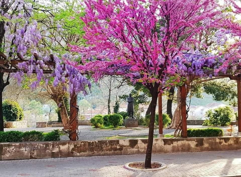 Apartment With Garden Hanja Mostar Ngoại thất bức ảnh